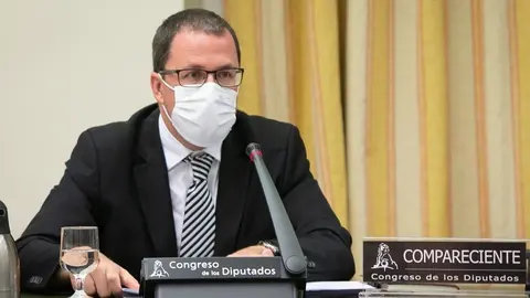 El secretario general de Industria y pyme, Ra&uuml;l Blanco, en el Congreso