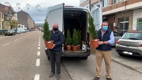 Campa&ntilde;a de reparto de pinos en peque&ntilde;os comercios