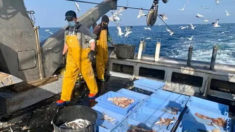 El sector pesquero solicita a los ministros de Pesca de la UE que rechacen la reducci&oacute;n ni en un solo d&iacute;a de la pesca en el Mediterr&aacute;neo