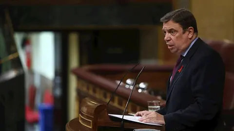 El ministro de Agricultura, Pesca y Alimentaci&oacute;n, Luis Planas, en una imagen de 1 de diciembre en el Congreso de los Diputados. 