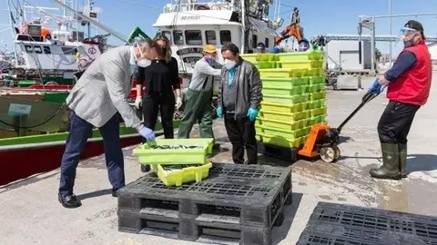 El consejero de Desarrollo Rural, Ganader&iacute;a, Pesca, Alimentaci&oacute;n y Medio Ambiente, Guillermo Blanco, en una visita al puerto de Santo&ntilde;a