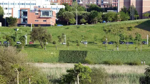 Estudio edificios campus UC