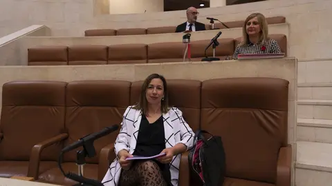 La consejera de Econom&iacute;a y Hacienda, Mar&iacute;a S&aacute;nchez