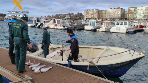 Rdo. Nota De Prensa Guardia Civil (Intervenida Una Embarcaci&oacute;n Tras Soprender A Dos Furtivos Realizando Pesca Con Palangre Campa&ntilde;a Navidad)