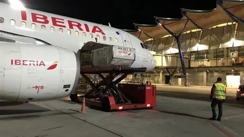 Iberia trae vacunas a Espa&ntilde;a.