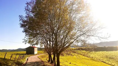 Imagen concurso foto Hazas de cesto