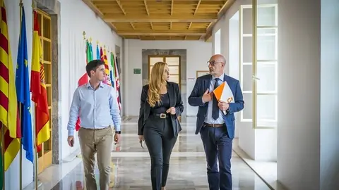 Diputados Ciudadanos Cantabria