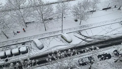 Nevadas registradas en Lleida a causa del temporal 'Filomena'