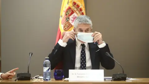 El ministro de Interior, Fernando Grande-Marlaska 