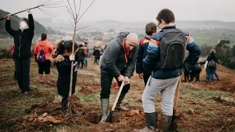 Plantaci&oacute;n de &aacute;rboles
