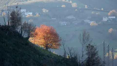 Ruta de Los Ancares, en Lugo, Galicia, (Espa&ntilde;a), a 31 de octubre de 2020. La sierra de Os Ancares, situada en el este de la provincia de Lugo, en la frontera con las comunidades vecinas de Castilla y Le&oacute;n y El Principado de Asturias, se distribuye a lo la