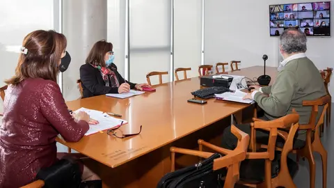 La consejera Ana Bel&eacute;n &Aacute;lvarez en la reuni&oacute;n del Consejo Territorial de Servicios Sociales