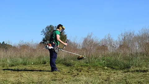 Escuela taller de Pi&eacute;lagos IV-Especialidad jardiner&iacute;a