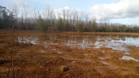 Restauraci&oacute;n ambiental en Morero