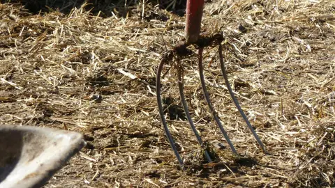 Foto recurso de jardineria, agricultura, ganaderia