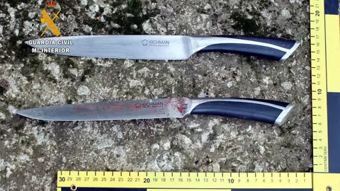 Cuchillos utilizados en el apu&ntilde;alamiento de Hoznayo
