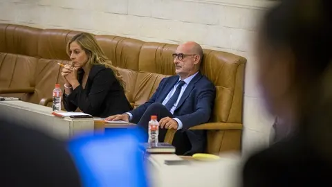 &Aacute;lvarez y Garc&iacute;a en el Pleno.-Archivo