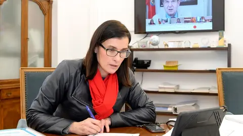 La alcaldesa de Santander, Gema Igual, en la Junta de Gobierno de la FEMP