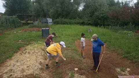 Actividades de medio ambiente