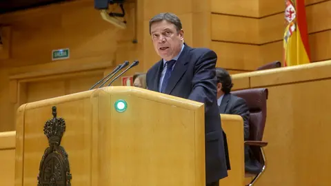 El ministro de Agricultura, Luis Planas, durante la sesi&oacute;n plenaria en el Senado. 