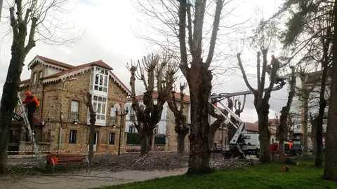 Labores de poda en el parque Cupido de Reinosa