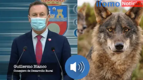 Captura de pantalla 2021-02-04 a las 20.57.11