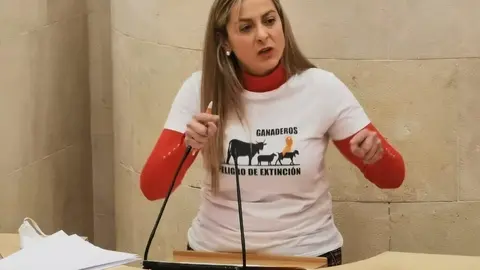 La diputada de Cs en el Parlamento de Cantabria Marta Garc&iacute;a