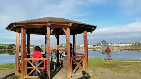 Rutas ornitol&oacute;gicas en Marismas de Astillero