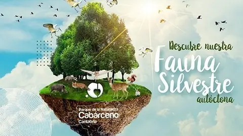 Nueva secci&oacute;n en la web de Cab&aacute;rceno