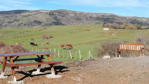 Area recrativa en La Costana