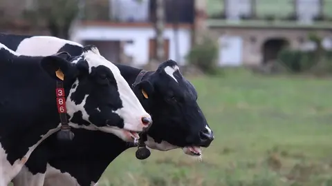 Nestl&eacute; avanza hacia las cero emisiones