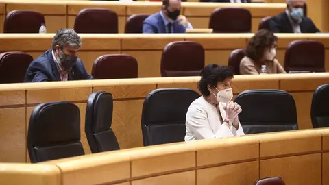 La ministra de Educaci&oacute;n, Isabel Cela&aacute;, durante una sesi&oacute;n plenaria en el Senado