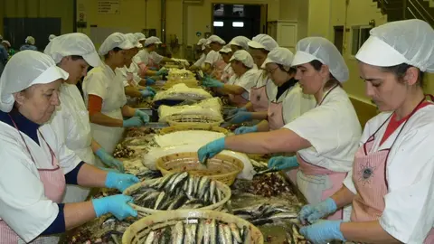 Trabajadoras de una f&aacute;brica de anchoas