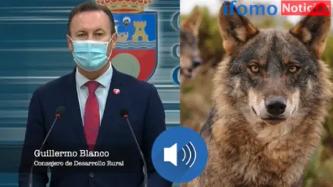 Captura de pantalla 2021-02-16 a las 14.59.19