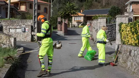 Tareas desbroce y limpieza