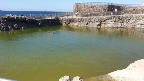 Archivo - FFW invita a Ceruti a debatir sobre el minizoo de la Magdalena