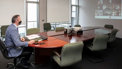 El consejero de Medio Ambiente, Guillermo Blanco, en la videoconferencia