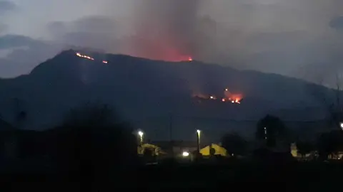 WhatsApp Image 2021-02-20 at 19.39.48 (1)