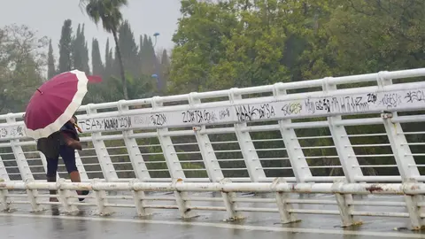 Un persona se protege de la lluvia y el viento caminando por la pasarela peatonal de la Cartuja, en Sevilla