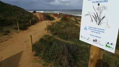 Archivo - Noja asegura la conservaci&oacute;n de las dunas colgantes de Punta de la Mesa