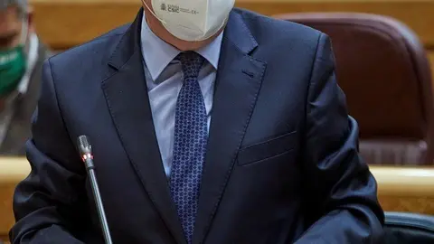 El ministro de Agricultura, Pesca y Alimentaci&oacute;n, Luis Planas interviene durante una sesi&oacute;n de control al Gobierno en el Senado 
