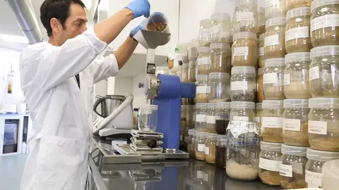 Archivo - Caso De &Eacute;xito Premios Alas: Kimitec Construye El Mayor Centro De Biotecnolog&iacute;a Aplicada A La Agricultura De Europa