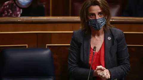 La vicepresidenta cuarta y ministra para la Transici&oacute;n Ecol&oacute;gica y el Reto Demogr&aacute;fico, Teresa Ribera, interviene durante una sesi&oacute;n de Control al Gobierno en el Congreso de los Diputados, en Madrid, (Espa&ntilde;a), a 24 de febrero de 2021. El pleno estar&aacute; marc