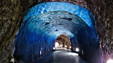 t&uacute;nel de laredo