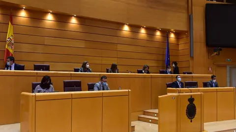 La ministra para la Transici&oacute;n Ecol&oacute;gica y Reto Demogr&aacute;fico, Teresa Ribera, y el ministro de Agricultura, Pesca y Alimentaci&oacute;n, Luis Planas, comparecen en el Senado para analizar la protecci&oacute;n del lobo ib&eacute;rico y de la t&oacute;rtola europea.