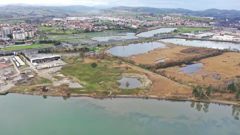 Marismas de Astillero