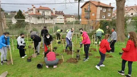 Plantaci&oacute;n ciudadana en Santander