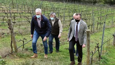 12:45.- Cabez&oacute;n de Li&eacute;bana
El consejero de Desarrollo Rural, Ganader&iacute;a, Pesca, Alimentaci&oacute;n y Medio Ambiente, Guillermo Blanco, visita la f&aacute;brica de Picos de Cabariezo y, posteriormente, visita las obras de mejora de un camino rural en La Vega (Vega de Li&eacute;bana).

