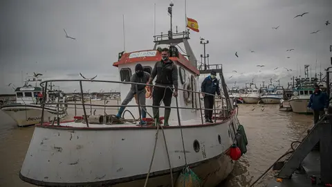 Archivo - Llegada de un barco pesquero de la lonja de la Cofrad&iacute;a de Pescadores de Sanl&uacute;car de Barrameda 