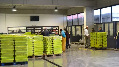 Pescadores de Laredo se preparan para el verdel